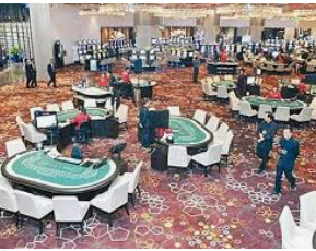 彩神VIl彩票最新版